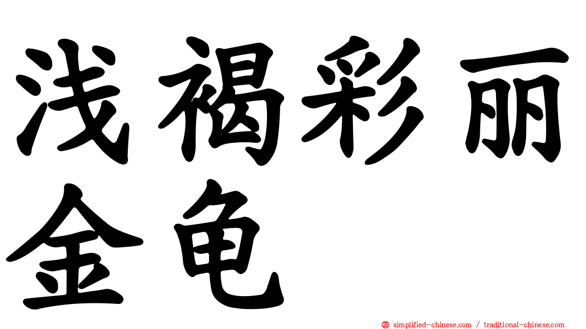 浅褐彩丽金龟