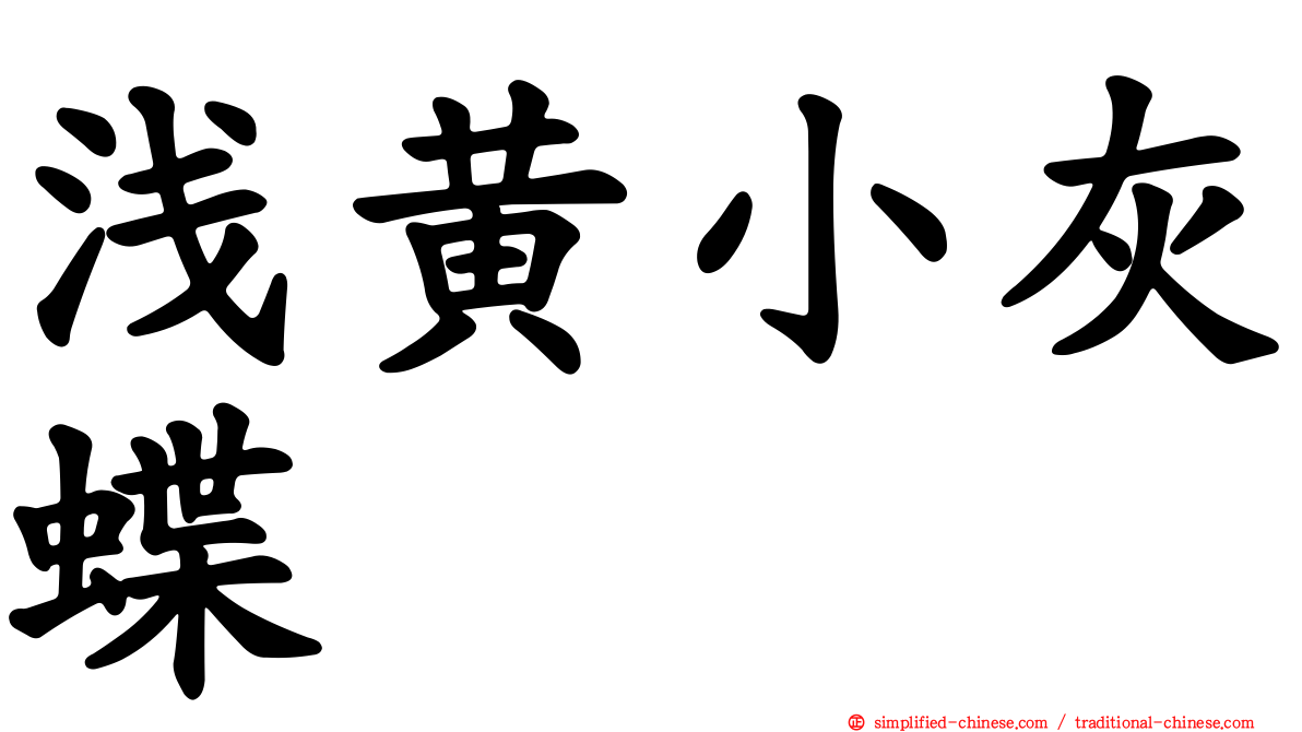 浅黄小灰蝶