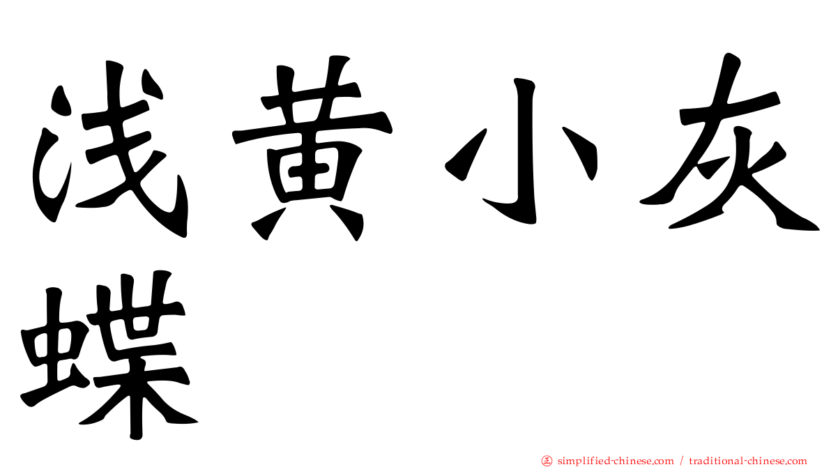 浅黄小灰蝶