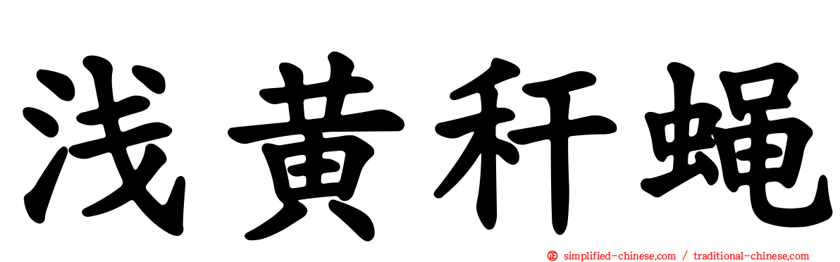 浅黄秆蝇