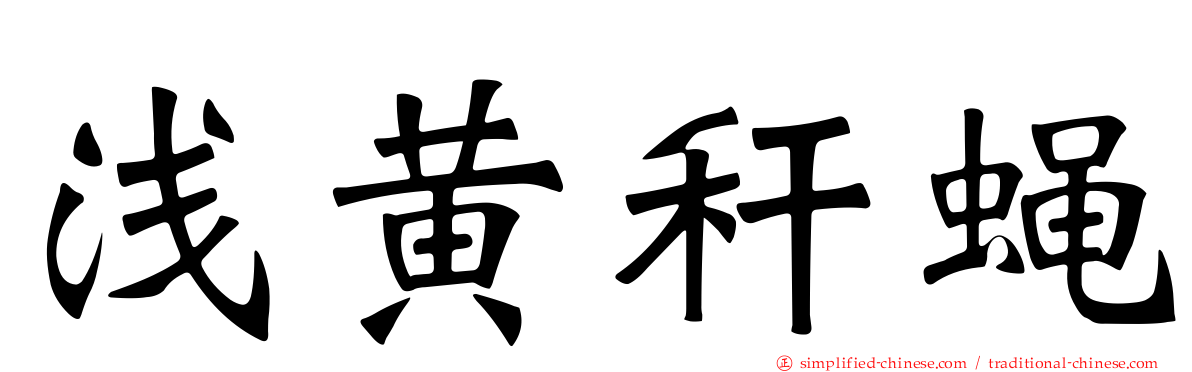 浅黄秆蝇