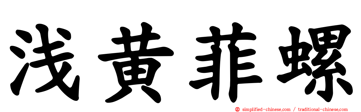 浅黄菲螺