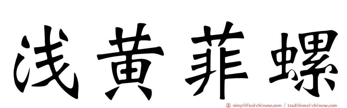 浅黄菲螺