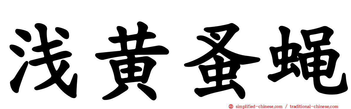 浅黄蚤蝇