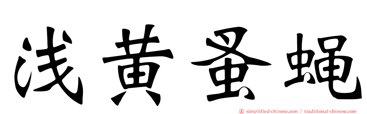 浅黄蚤蝇