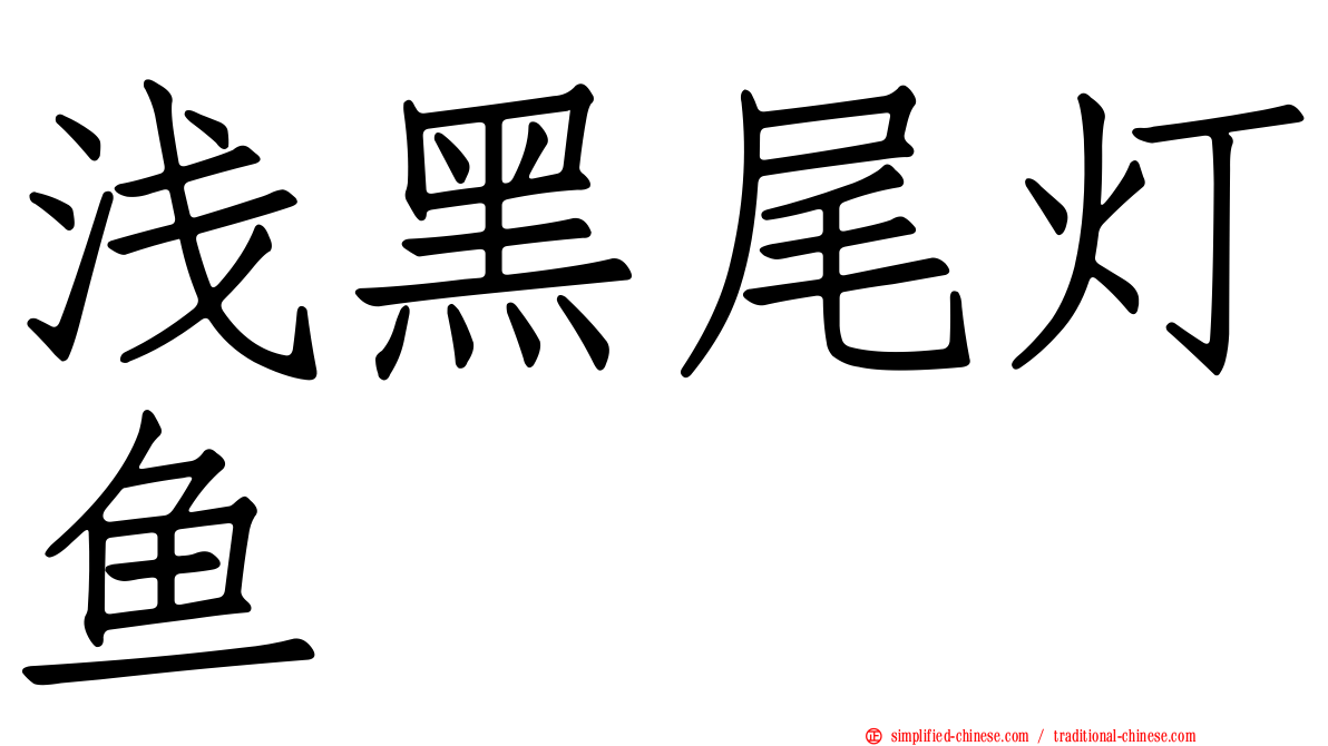 浅黑尾灯鱼