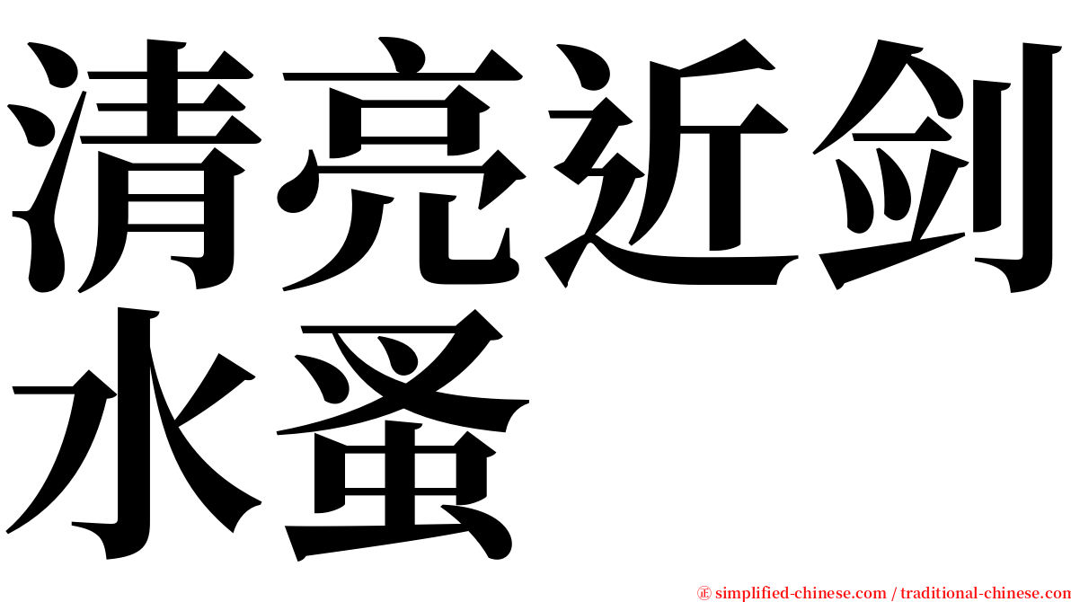 清亮近剑水蚤 serif font