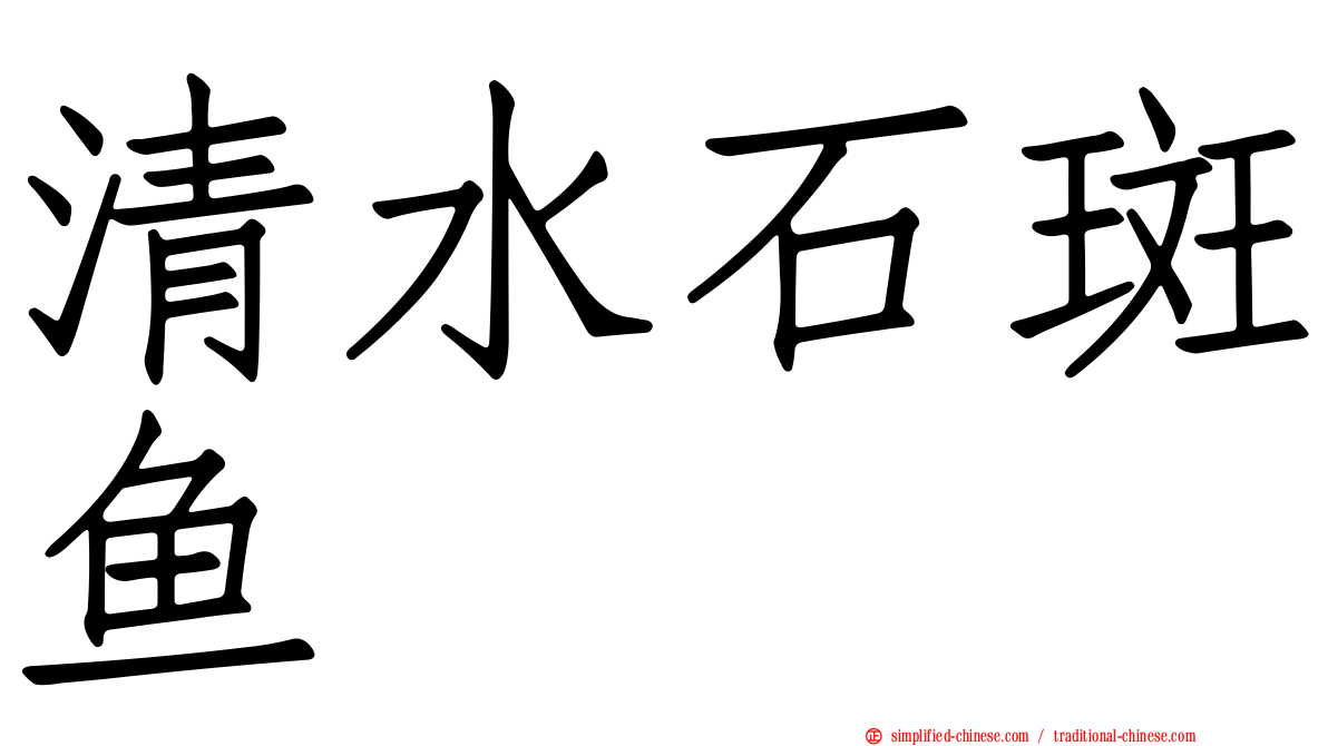 清水石斑鱼