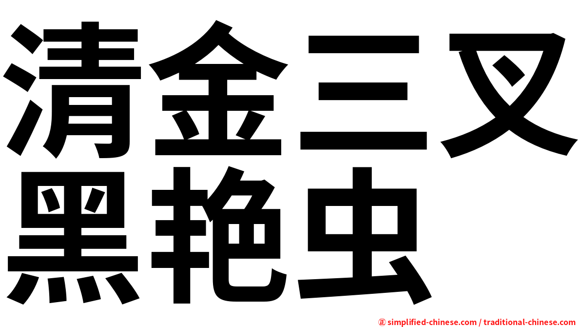 清金三叉黑艳虫