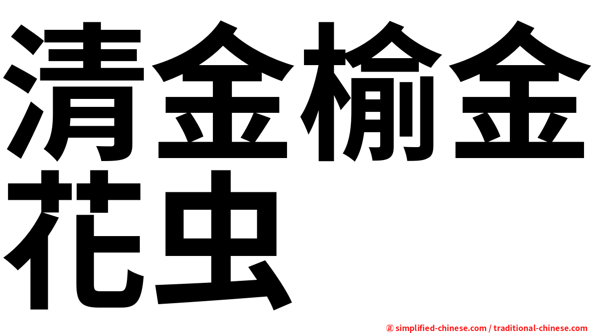 清金榆金花虫
