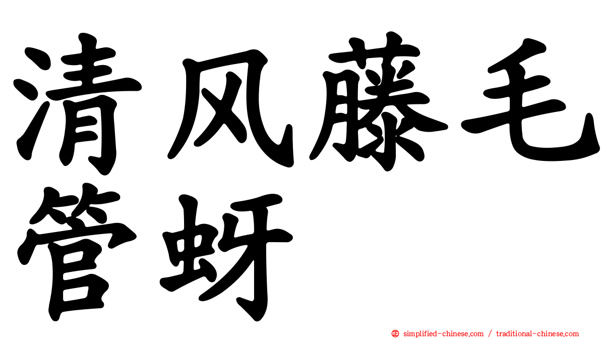 清风藤毛管蚜
