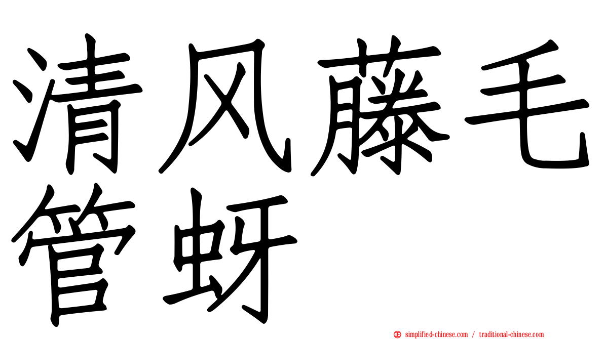 清风藤毛管蚜