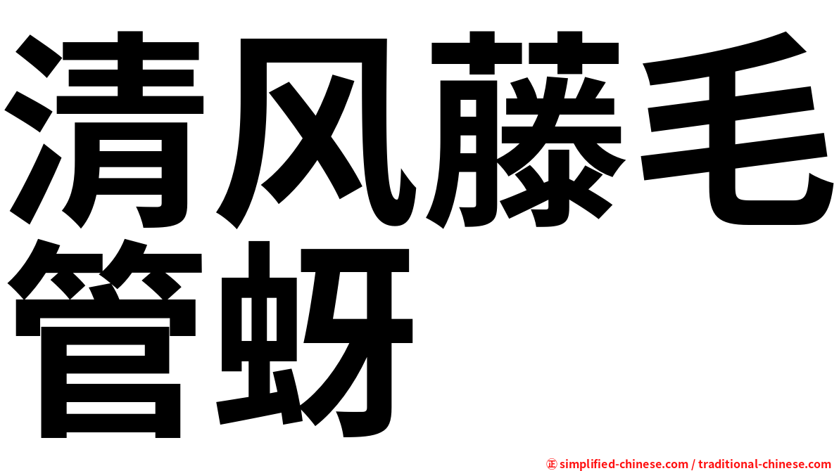 清风藤毛管蚜