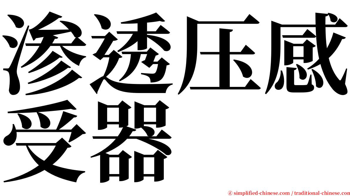 渗透压感受器 serif font