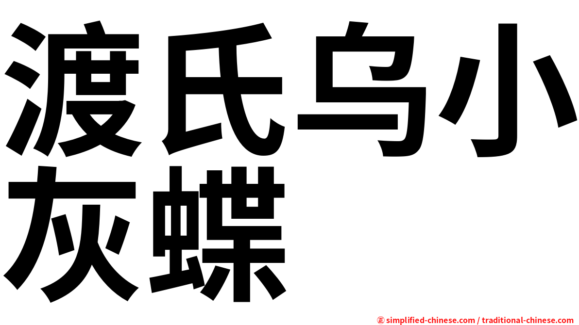 渡氏乌小灰蝶