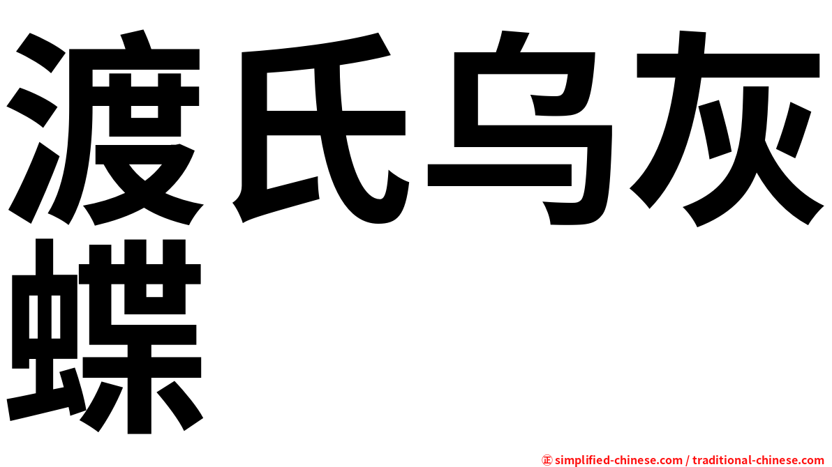 渡氏乌灰蝶