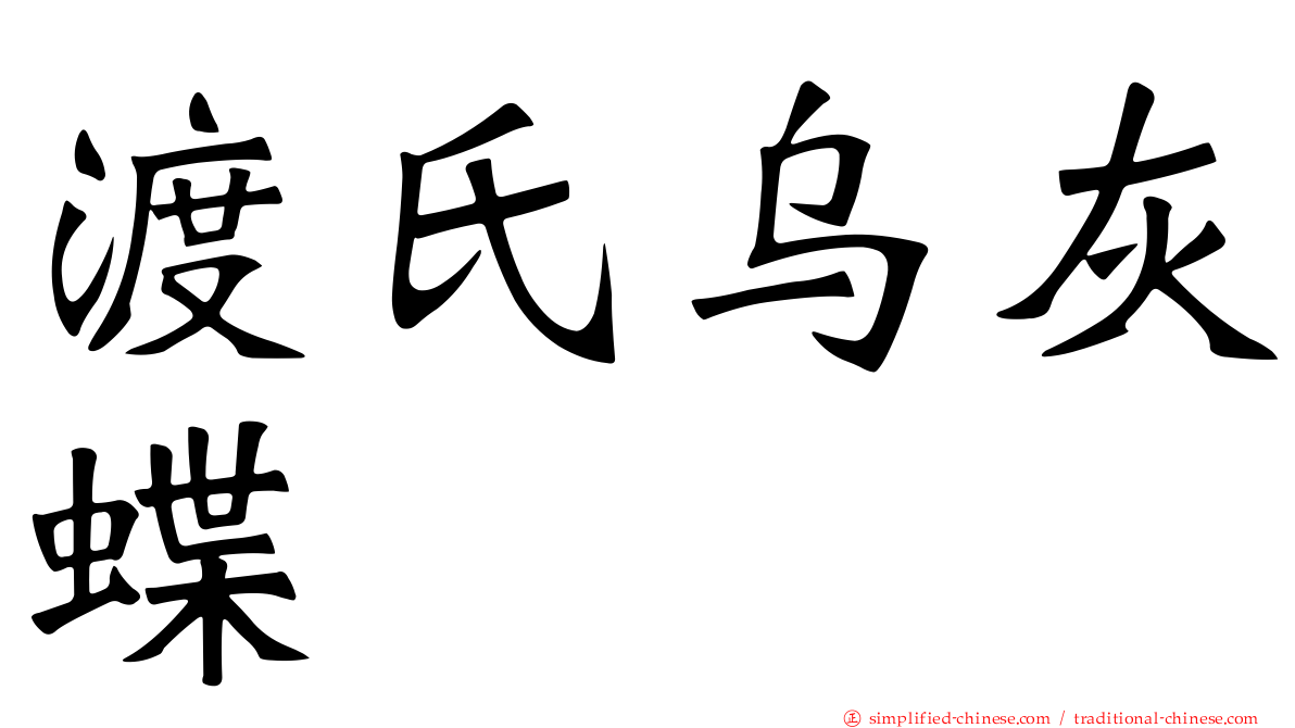 渡氏乌灰蝶