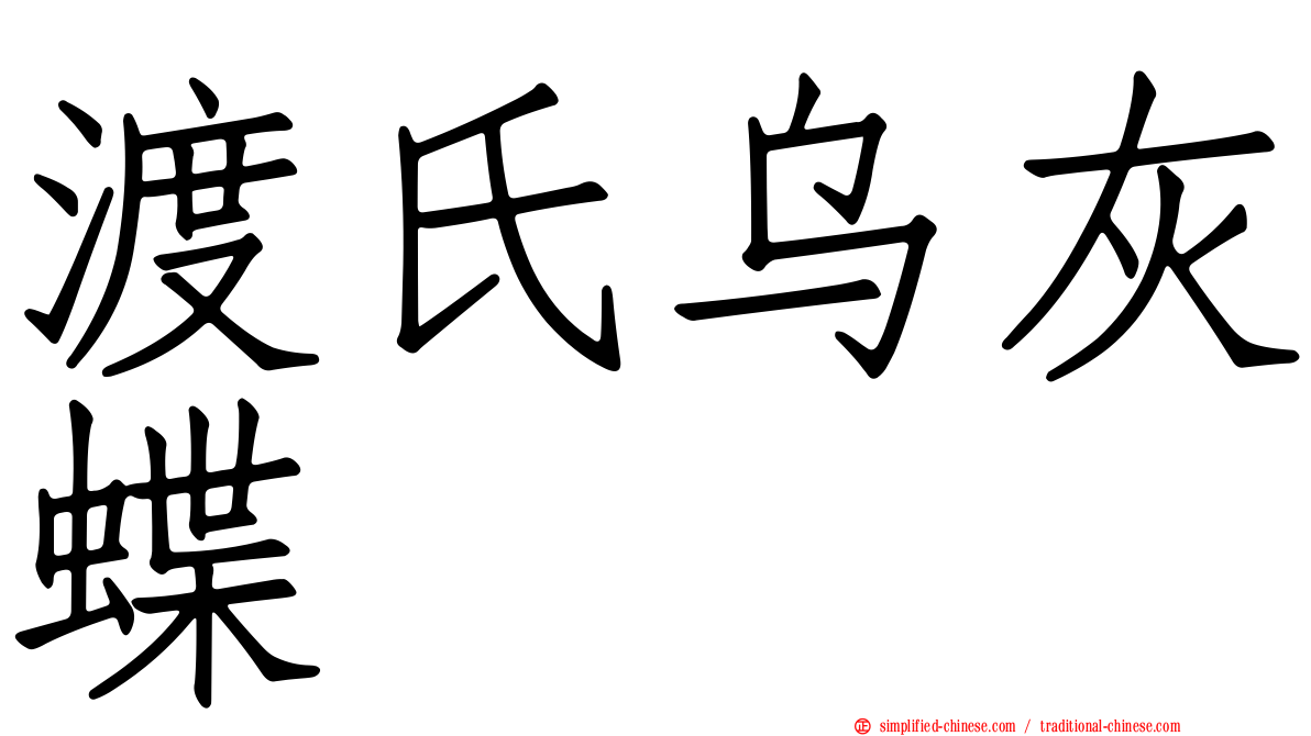 渡氏乌灰蝶