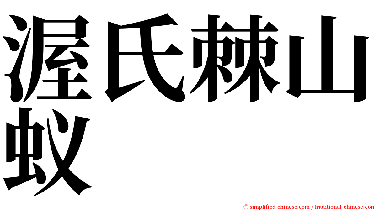 渥氏棘山蚁 serif font
