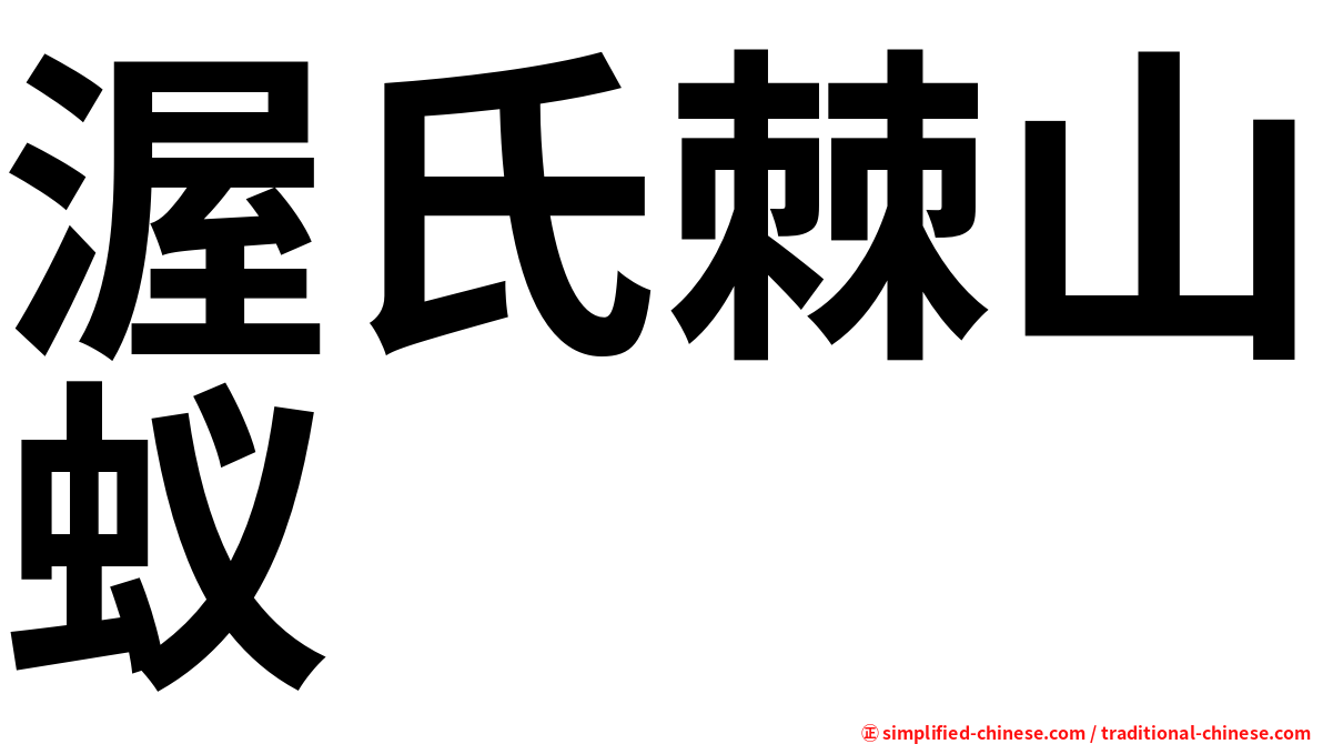 渥氏棘山蚁