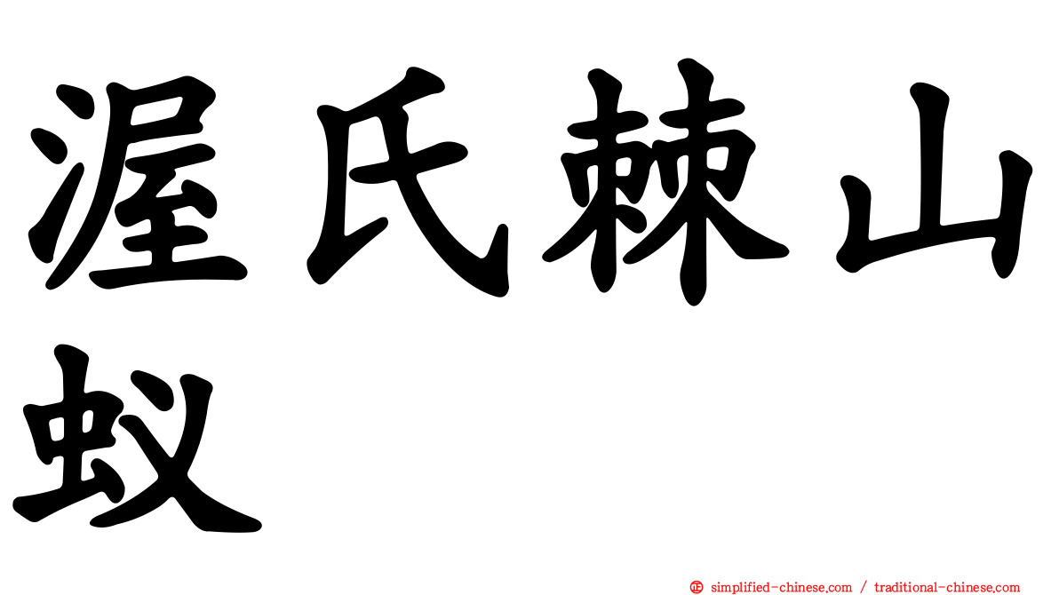 渥氏棘山蚁