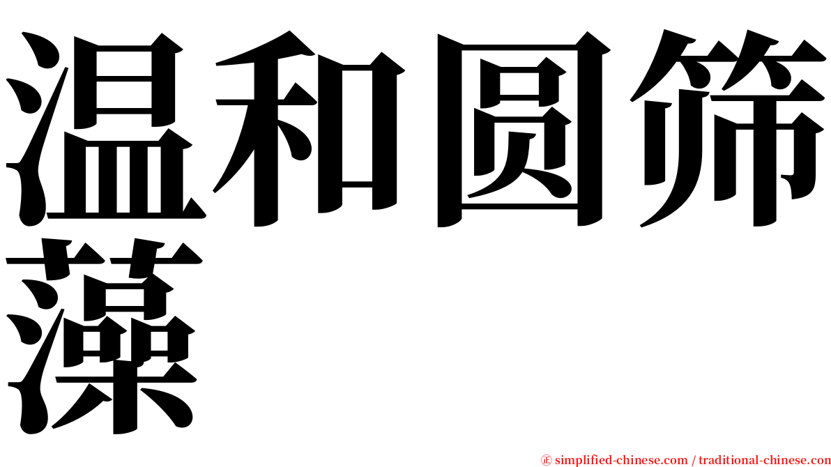 温和圆筛藻 serif font