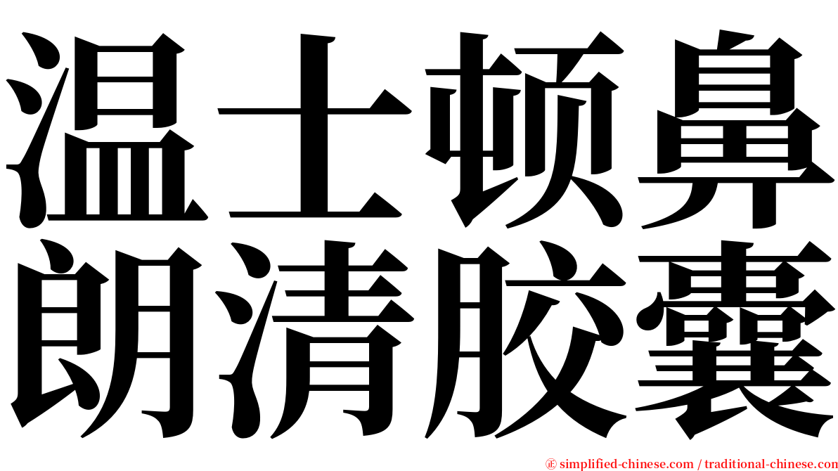 温士顿鼻朗清胶囊 serif font