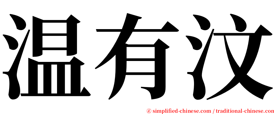 温有汶 serif font