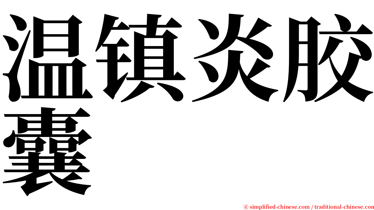 温镇炎胶囊 serif font