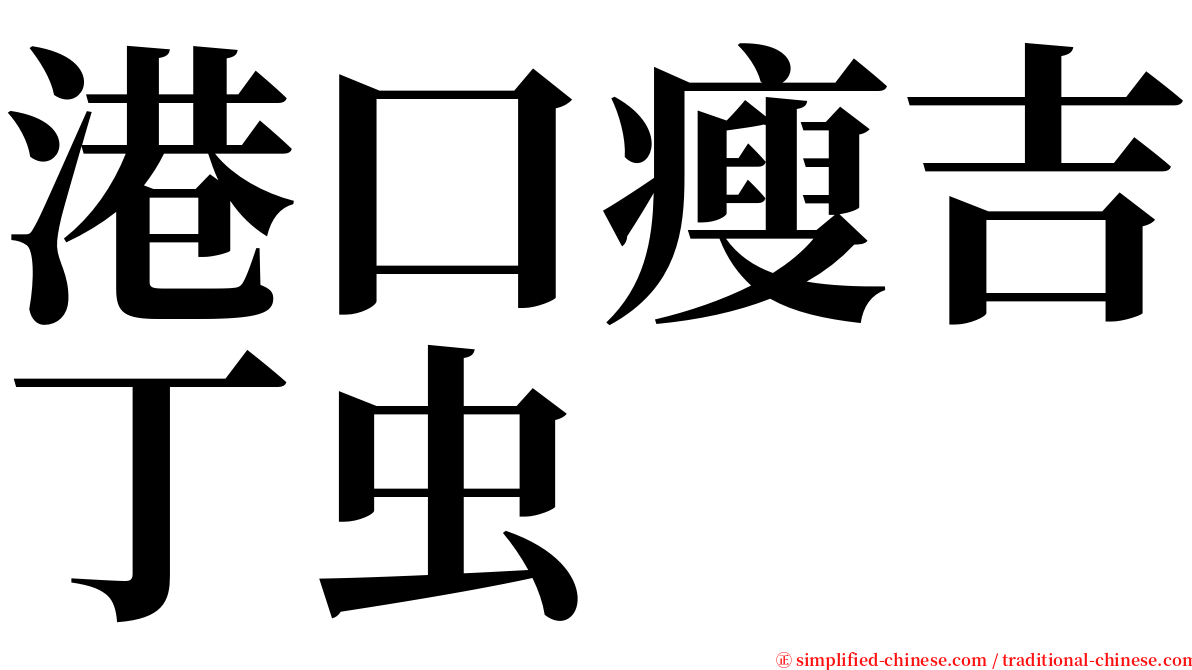 港口瘦吉丁虫 serif font