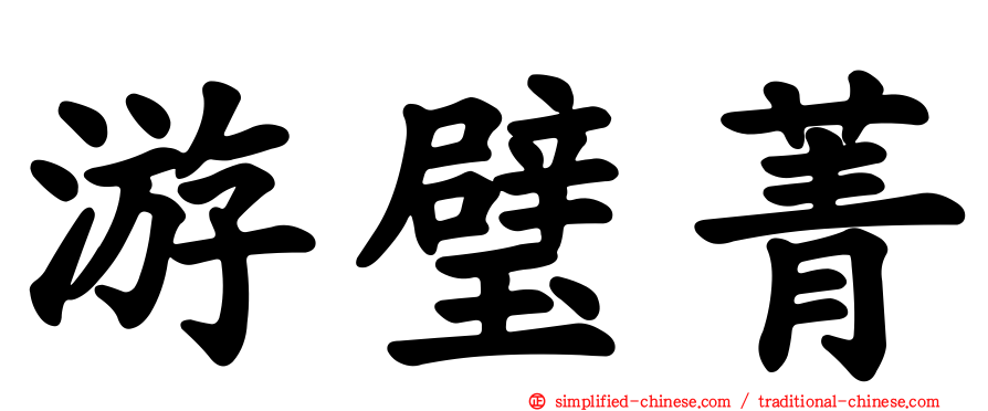 游璧菁
