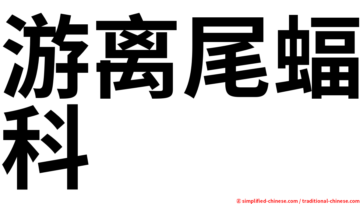 游离尾蝠科