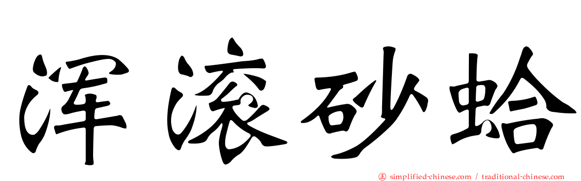 浑滚砂蛤
