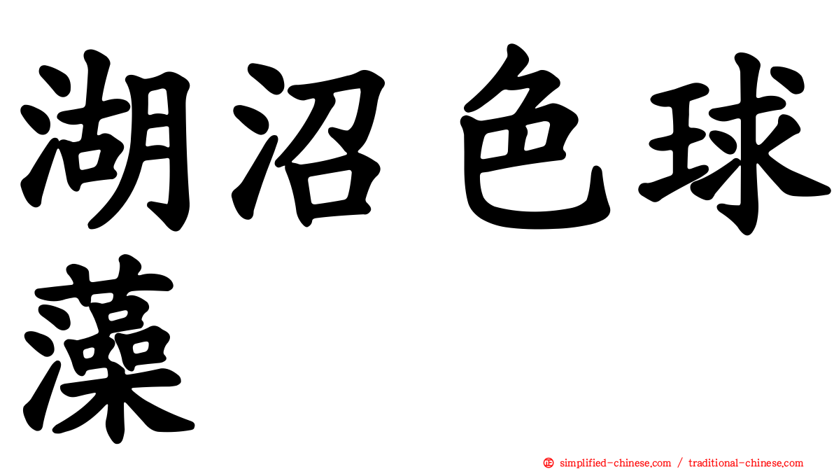 湖沼色球藻