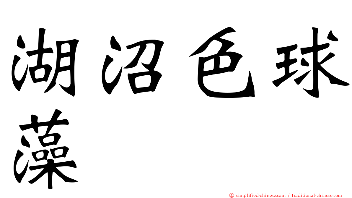 湖沼色球藻