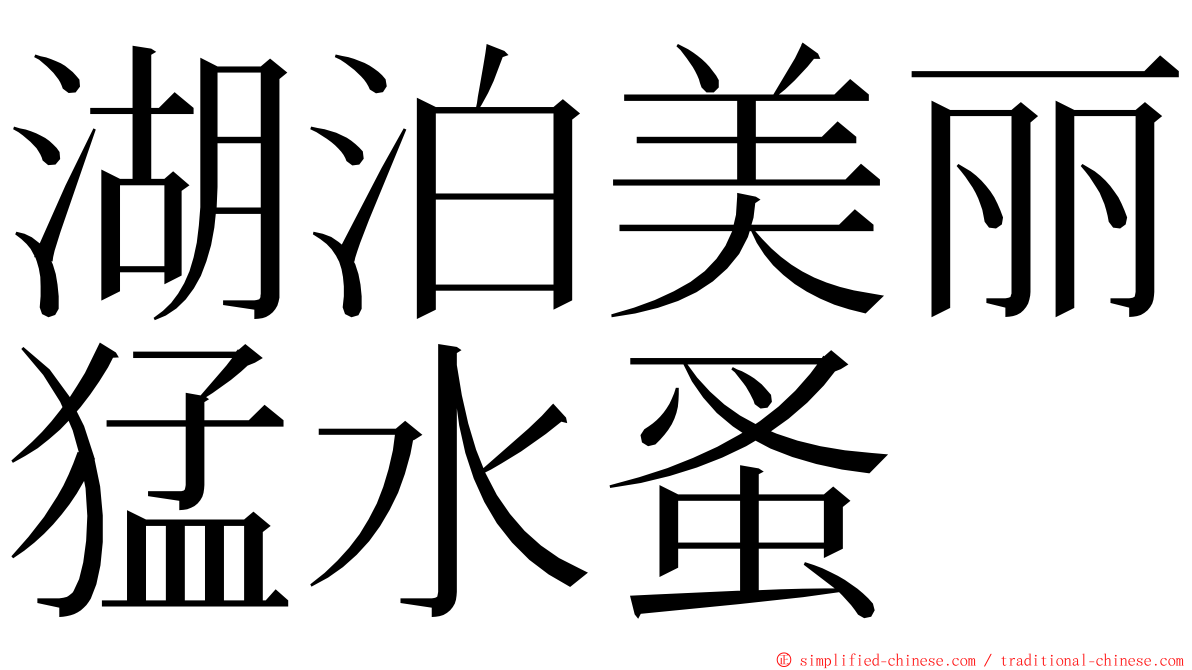 湖泊美丽猛水蚤 ming font
