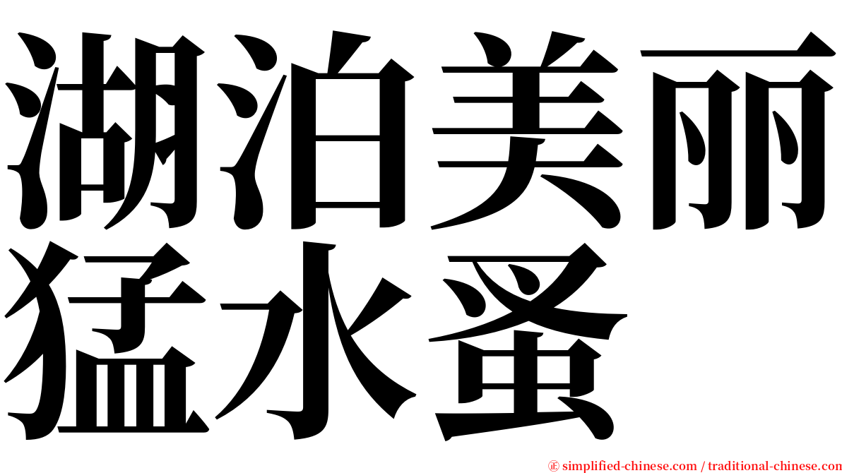 湖泊美丽猛水蚤 serif font