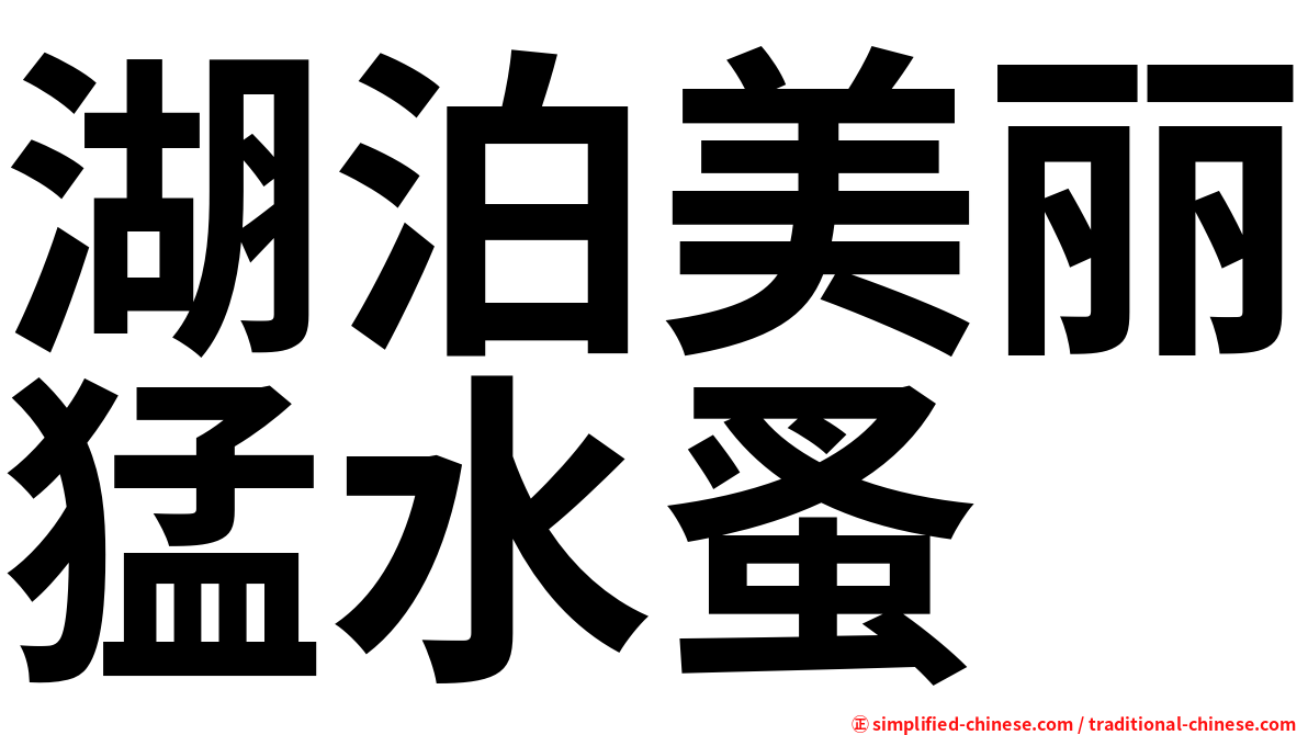 湖泊美丽猛水蚤