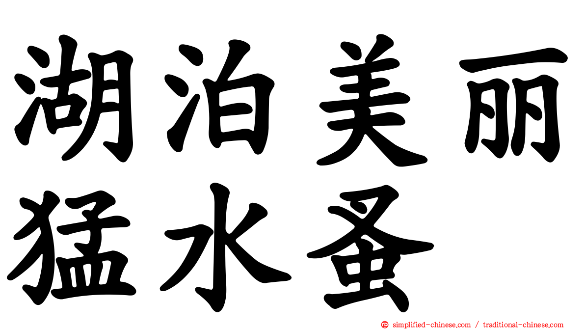湖泊美丽猛水蚤