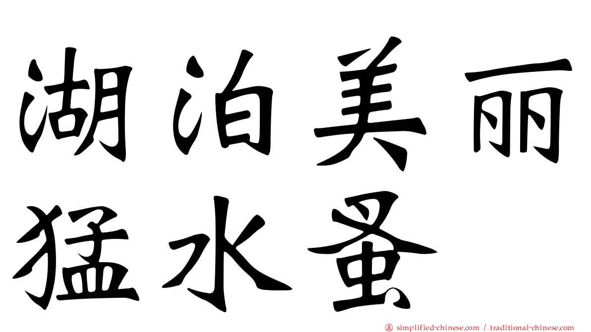 湖泊美丽猛水蚤