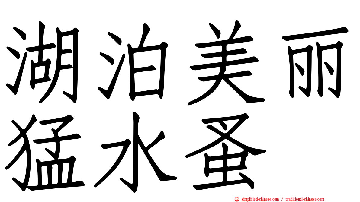湖泊美丽猛水蚤