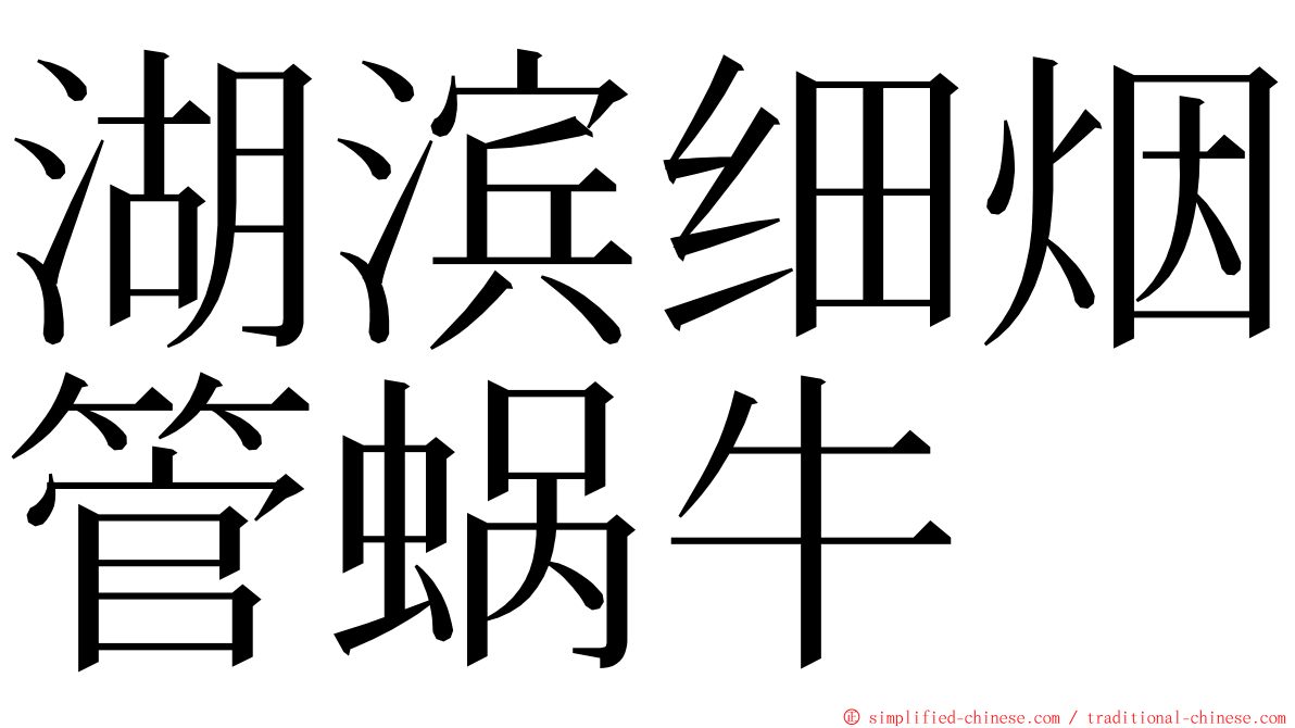 湖滨细烟管蜗牛 ming font