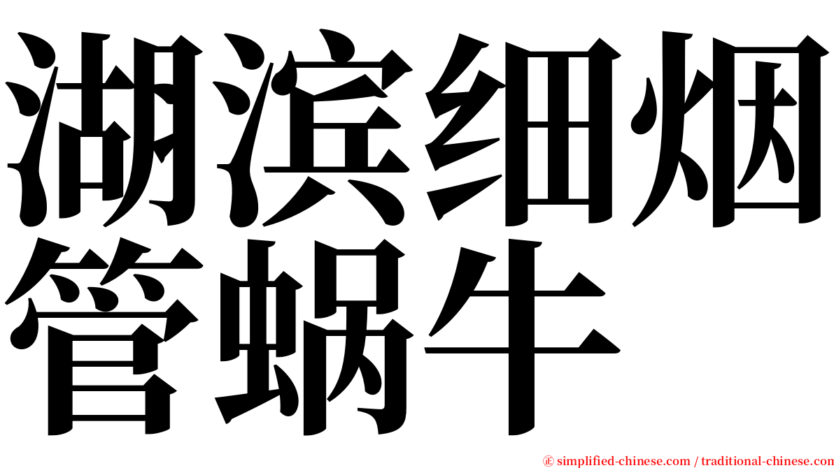 湖滨细烟管蜗牛 serif font