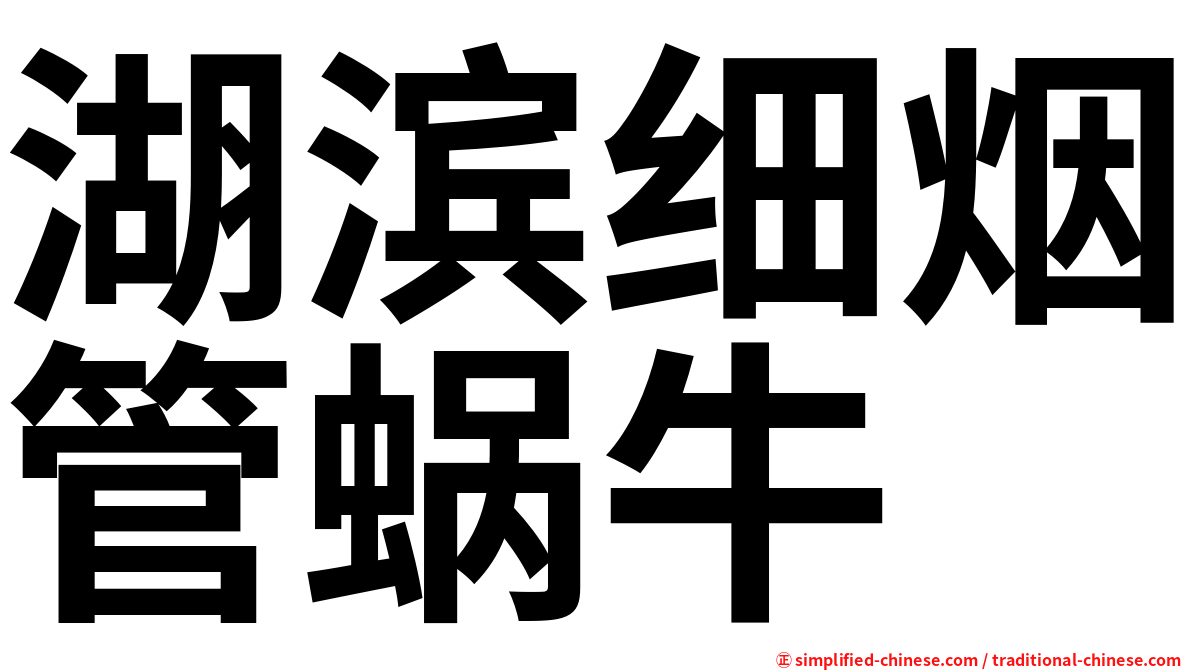湖滨细烟管蜗牛