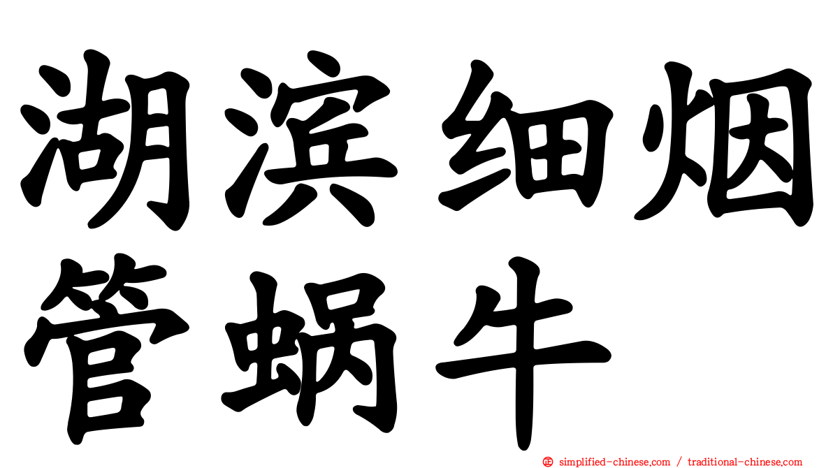 湖滨细烟管蜗牛