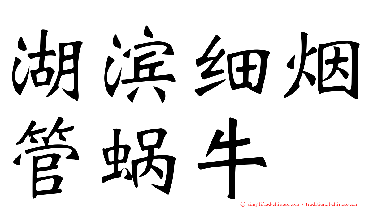 湖滨细烟管蜗牛