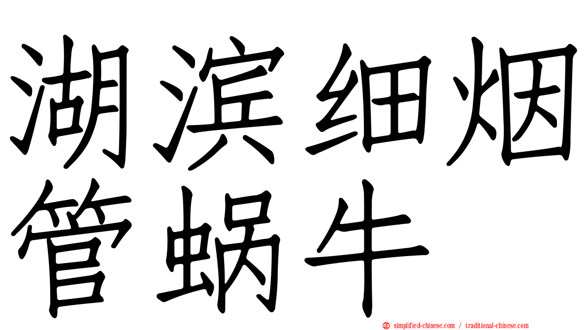 湖滨细烟管蜗牛