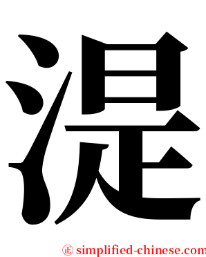 湜 serif font