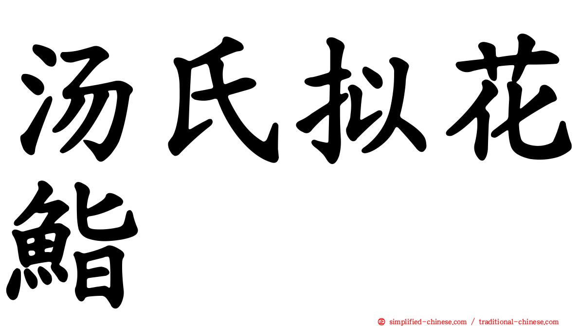 汤氏拟花鮨