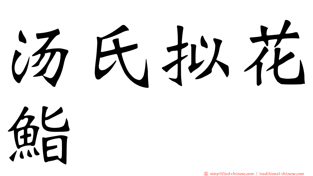 汤氏拟花鮨
